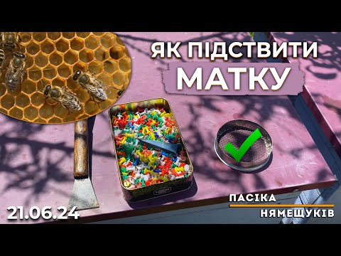 Видео: Є матки в наявності! Як підставити матку правильно?
