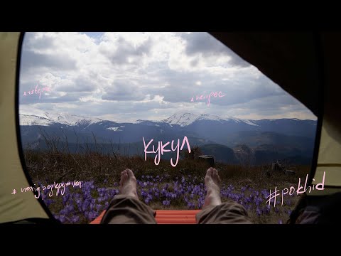 Видео: шафран карпатський. похід розкрутка, ворохта - кукул, сніжна чорногора.