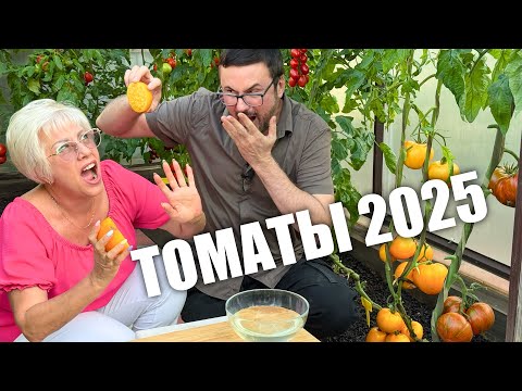 Видео: Пробуем с сестрой помидоры. Вкус у нас оказался разный.
