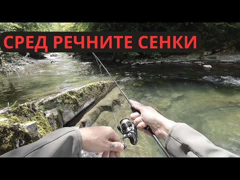 Видео: СРЕД РЕЧНИТЕ СЕНКИ