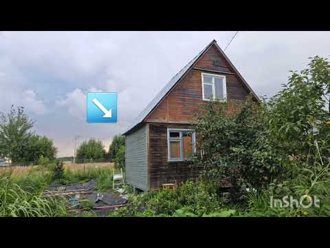 Видео: #47 ДАЧА, АВГУСТ 2025Г,  ПОКРАСКА, РЕМОНТ ДОМИКА, ПОКОС, УРОЖАИ 👩‍🌾🥰🤩