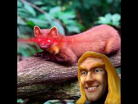 Видео: Артас читает крипипасту про куницу