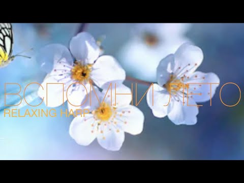 Видео: Спокойная Музыка Для Снятия Стресса  - RELAXING PIANO - Music - Stress Relief Music