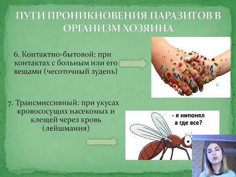 Видео: МЕДИЦИНСКАЯ ПАРАЗИТОЛОГИЯ | Урок 3. Пути проникновения паразита в организм хозяина, переносчики.