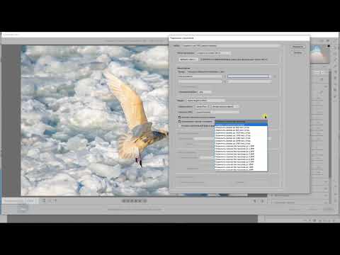 Видео: Выбираем формат файла для сохранения из Camera Raw