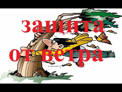 Видео: Защитим от ветра всех.