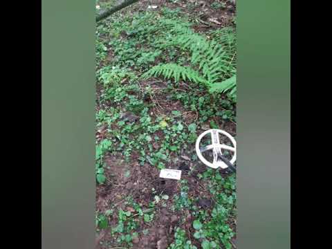 Видео: XP ORX , некоторые моменты дискриминации и функция громкости железа.