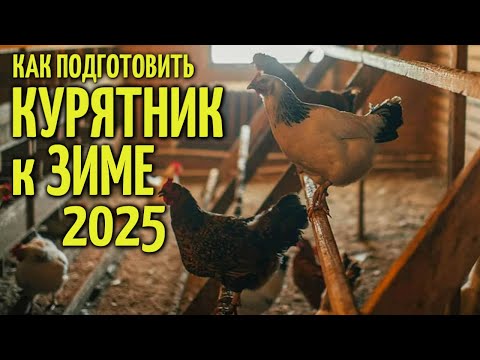 Видео: Как ПОДГОТОВИТЬ КУР и КУРЯТНИК К ЗИМЕ