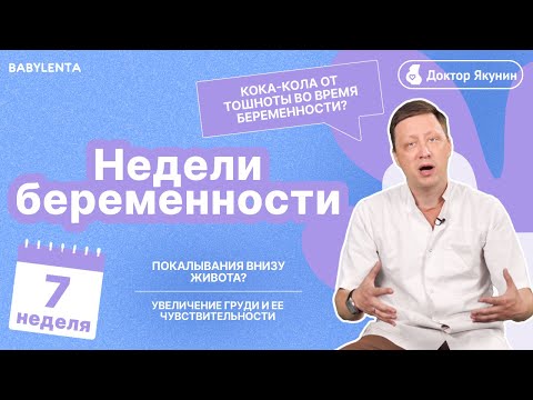 Видео: 7 неделя беременности что происходит с малышом и мамой. УЗИ, боли, как выглядит плод, ощущения