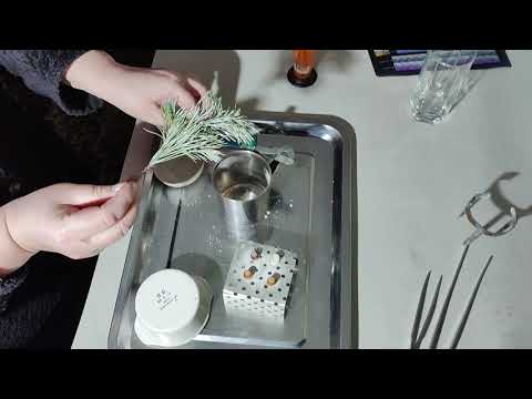 Видео: ЗИМОВИЙ  STEM  "КАМФОРНІ ДИВА":  "ЯЛИНКА У КАМФОРНОМУ СНІГУ"  та  ДОСЛІД  "ТАНЕЦЬ КАМФОРИ"