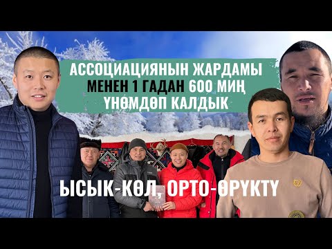Видео: Эмнеге көчөттөрдүн баасы арзан? Башкаларда кымбат? Так жоопту билип алыңыз.