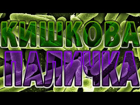 Видео: Інфекції, викликані кишковою паличкою (Escherichia coli) | Ешеріхіози