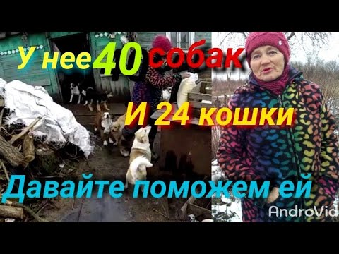 Видео: Приютила животных.И у нее  дома приют животных.