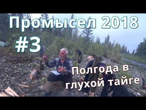 Видео: Промысел на соболя, рыбалка и охота 2018.  #3