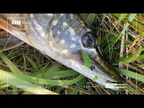 Видео: Бонус в Мормышинге