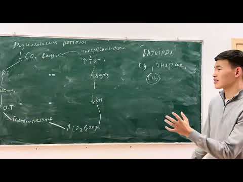 Видео: Қышқылдық-сілтілік үйлесімінің бұзылыстары 1-бөлім