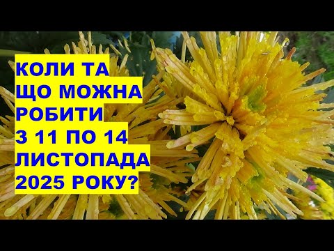Видео: Коли та що робити з 11 по 14 листопада 2025 року?