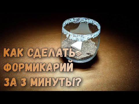 Видео: Как сделать Формикарий дома? Самый лёгкий способ!
