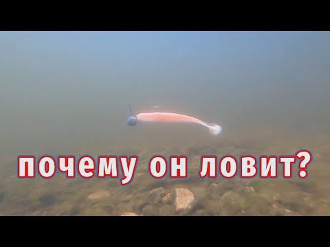 Видео: Как РАБОТАЕТ Уловистый силикон ПОД ВОДОЙ?