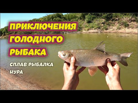 Видео: Приключения голодного рыбака - Сплав и Рыбалка НУРА