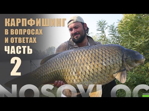 Видео: Карпфишинг в вопросах и ответах, часть 2 - Артём Колесников