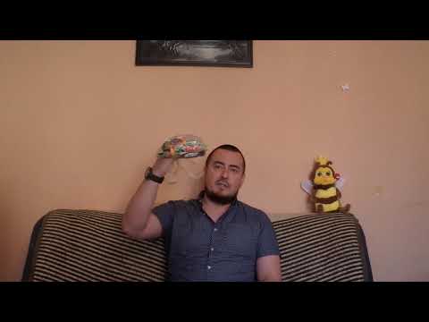 Видео: Досмотр вещей на границе с ЕС. За что можно получить штраф.