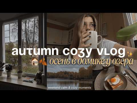 Видео: AUTUMN COZY VLOG 🍂🏠 | уютные дни в домике в лесу и рецепт блинчиков