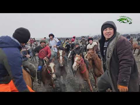 Видео: Бузкашии д Сучина 04 01 2025 кисми 2. UMED VIDEO. ZARAFSHON. TAJIKISTAN.