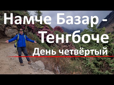 Видео: Трек Намче Базар Тенгбоче Четвёртый трековый день