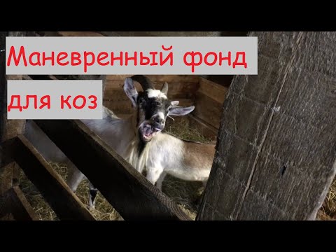 Видео: САРАЙ ДЛЯ КОЗ