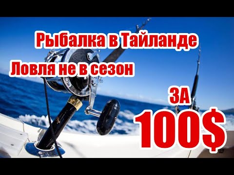 Видео: Рыбалка в Тайланде! Не сезон, что можно поймать? Когда лучше приезжать! Отличный отдых!