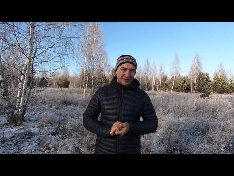 Видео: ДОЛГ - ВРАГ. Берите в ДОЛГ по КРУПНОМУ так ДЕШЕВЛЕ. Другу невозможно дать в долг.