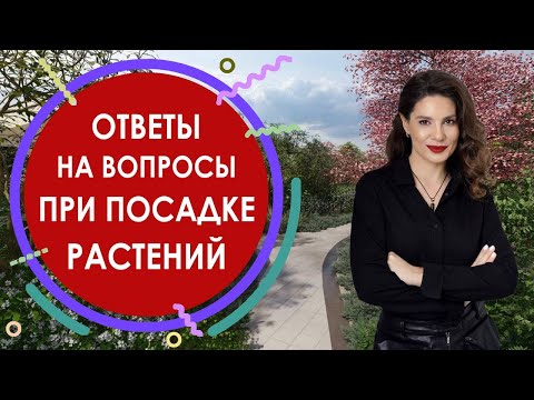 Видео: Ответы на вопросы при посадке растений