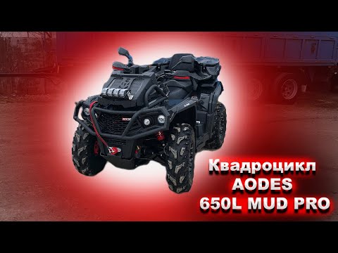Видео: Обзор новой техники КВАДРОЦИКЛ AODES 650L MUD PRO 12.02.2025