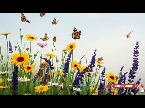 Видео: После одного бокала тёща призналась, кого на самом деле хотела для дочери!