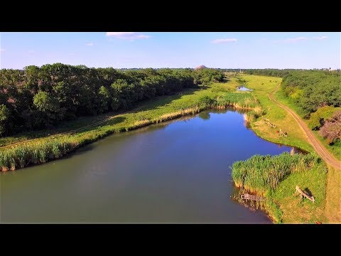 Видео: Проект "Аренда водоёма" 37 (ДР)