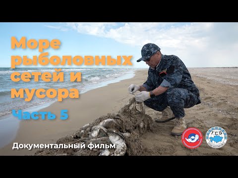 Видео: МОРЕ РЫБОЛОВНЫХ СЕТЕЙ И МУСОРА. ЧАСТЬ 5