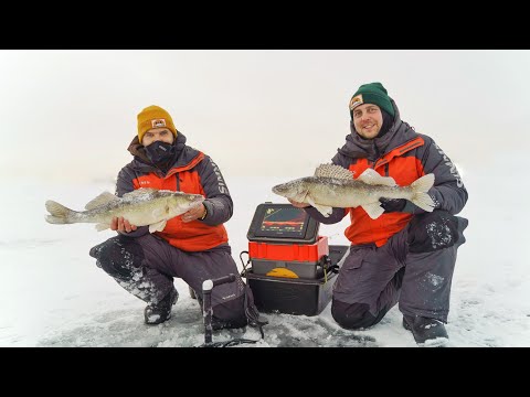 Видео: Лед уходит из под ног, а судак клюет наотмашь. Ловля судака зимой на Финском заливе.