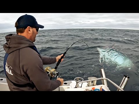 Видео: Ловля ГИГАНТСКОГО голубого тунца - Barrels of Portland!!