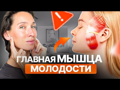 Видео: Поплывший овал лица, БРЫЛИ, НАВИСШЕЕ ВЕКО и ПТОЗ | Из-за ЭТОЙ мышцы лицо ползёт вниз
