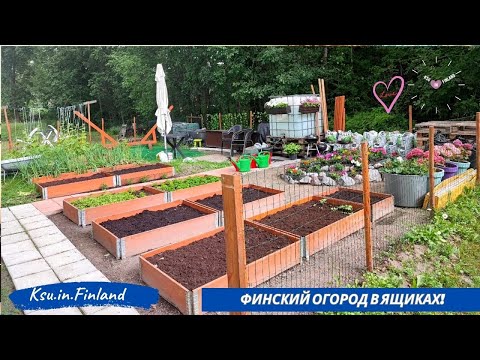Видео: ФИНСКИЙ ОГОРОД В ЯЩИКАХ/КСЮША ИЗ ФИНЛЯНДИИ