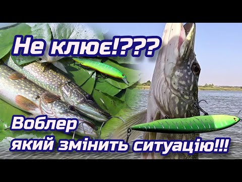 Видео: НЕ КЛЮЄ!??? ВОБЛЕР ЯКИЙ ЗМІНИТЬ СИТУАЦІЮ!!!