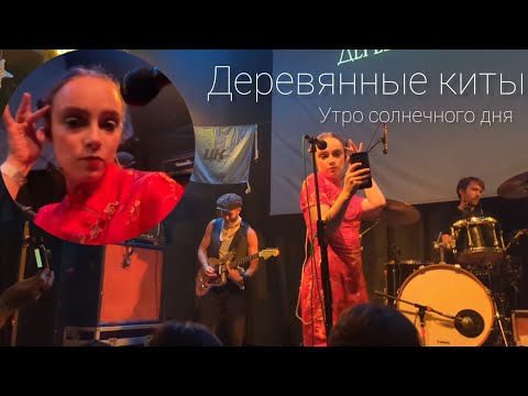 Видео: Деревянные киты - Утро солнечного дня. 31.08.24