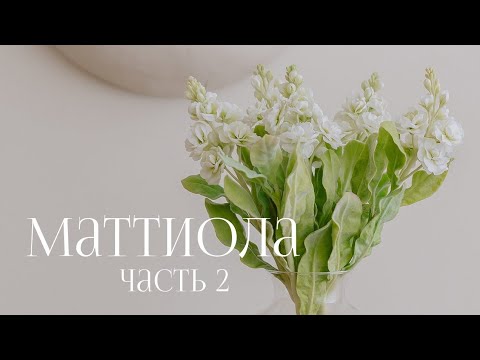 Видео: Маттиола часть 2 сборка веточки