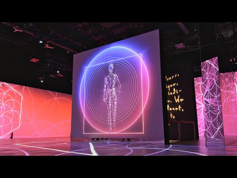 Видео: ГЕНИАЛЬНЫЙ ОПЫТ ПОГРУЖЕНИЯ • Интервью с Ли Сахвиц из flora&faunavisons