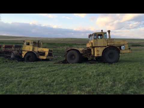 Видео: К-700А УВЯЗ В БОЛОТЕ. ПЫТАЕМСЯ ВЫЗВОЛИТЬ. В БЕДЕ НЕ БРОСАЕМ!