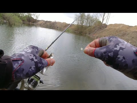 Видео: ЗА УКЛЕЙ НА ВРАЖДЕБНА.РИБОЛОВ С БУЛДО