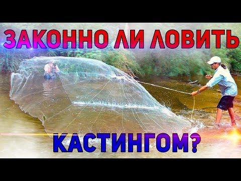 Видео: Ловля кастинговой сетью. Законно ли?? Ловля рыбы сетями по закону