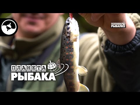 Видео: Ловим форель в горах Абхазии | Планета рыбака