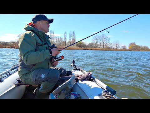 Видео: Судаки кабаны с каждого заброса на речке Рось!